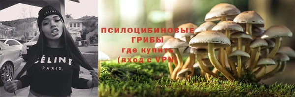 винт Белокуриха