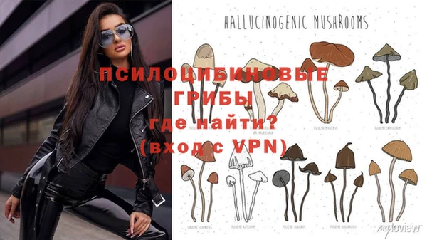 винт Белокуриха